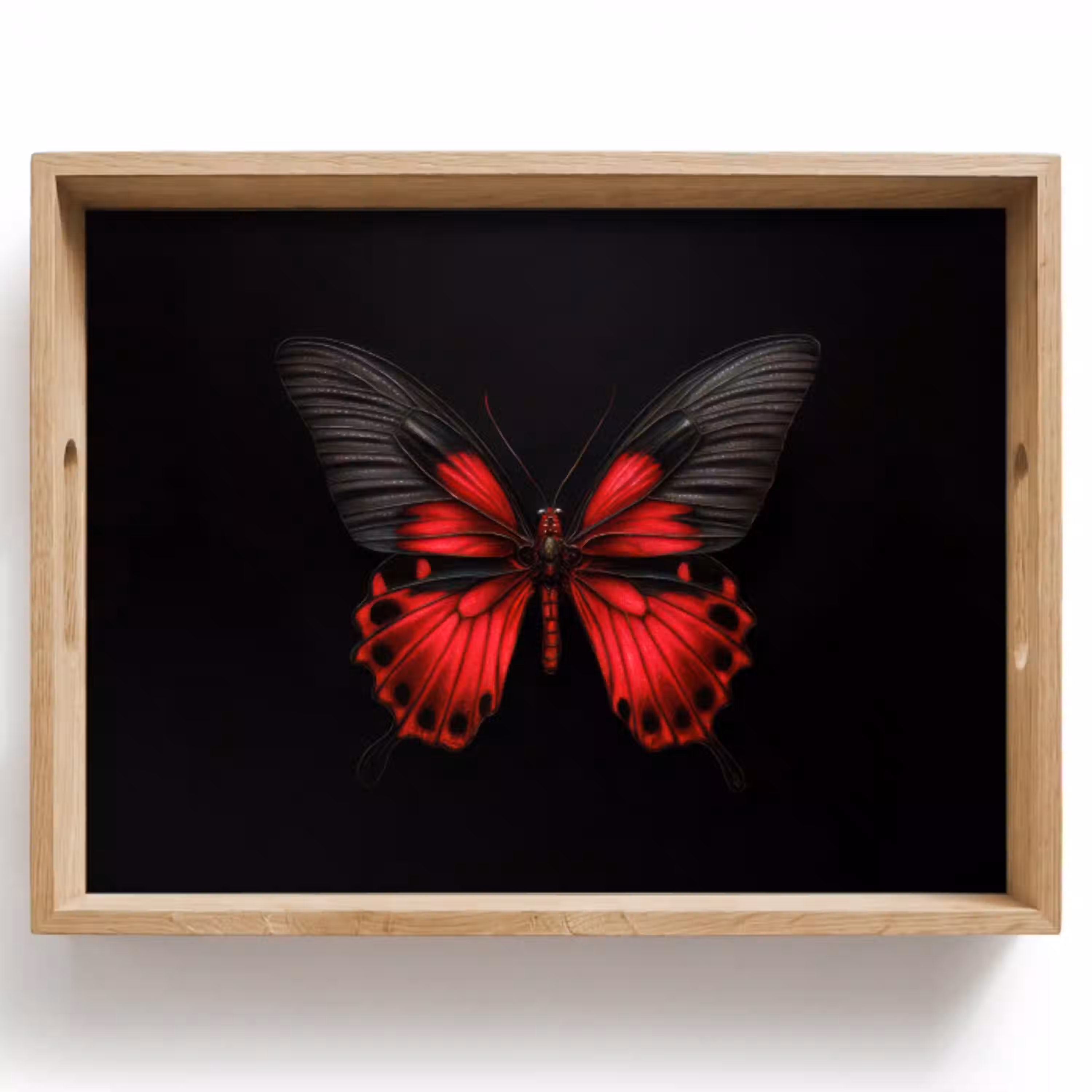 Vlinder - Rood - Contrast Dienblad Rechthoek middel -z3d_shopping