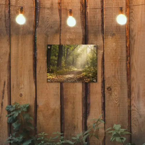 Zonlicht - Bospad - Bomen tuinposter los doek klein -sfeer1
