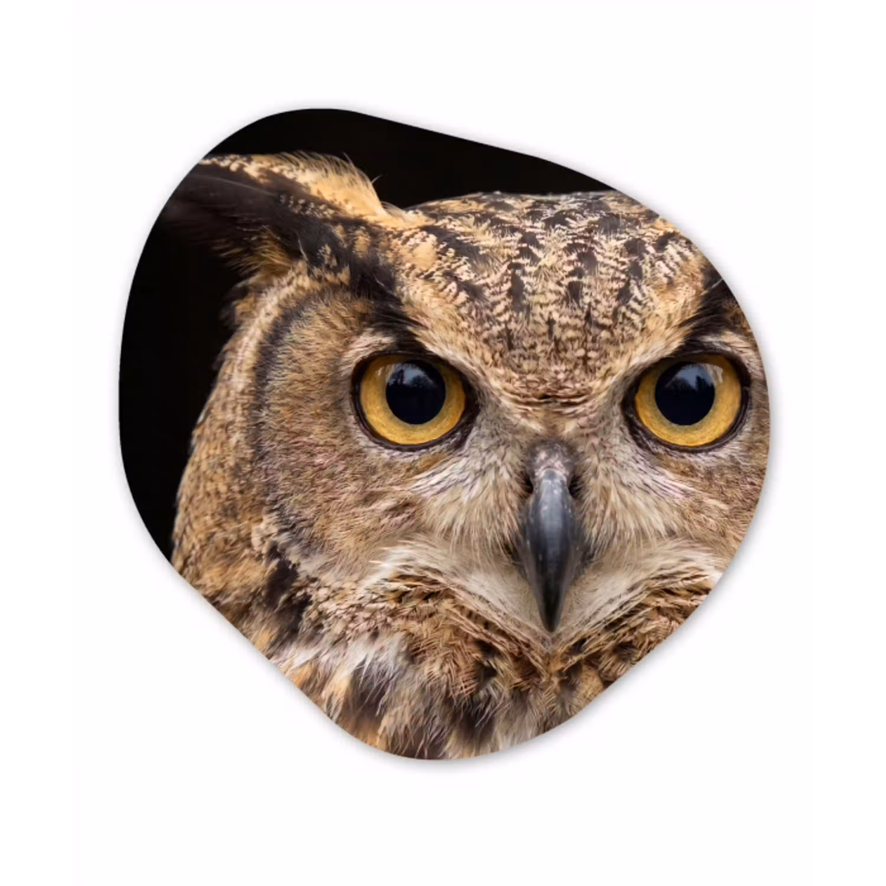 Oehoe - Uil - Portret - Bruin Wandcirkel Organisch Aluminium middel -3d