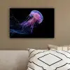Kwal - Doorzichtig - Roze - Tentakels canvas 2cm klein -sfeer3