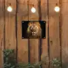 Leeuw in het avondlicht tuinposter los doek klein -sfeer1