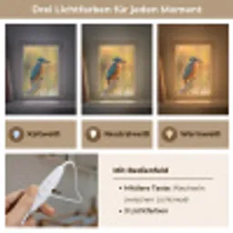 IJsvogel - Tak - Water - Kleurrijk - Levendig Light Box met kabel (Kinderlampje) klein -USP_lichtkleurDE