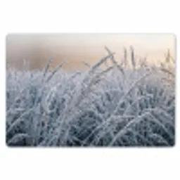 Rijp - Gras - Kristallen - Winter - Minimalistisch Placemat vinyl groot -zzsfeer1_Kitchenyeah-website