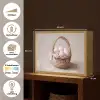 Mand - Eieren - Roze Light Box met batterij (Wandlamp) middel -USP_websiteoverzichtNL