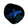 Vis - Stippen - Koraal - Blauw Wandcirkel Organisch Aluminium middel -3d