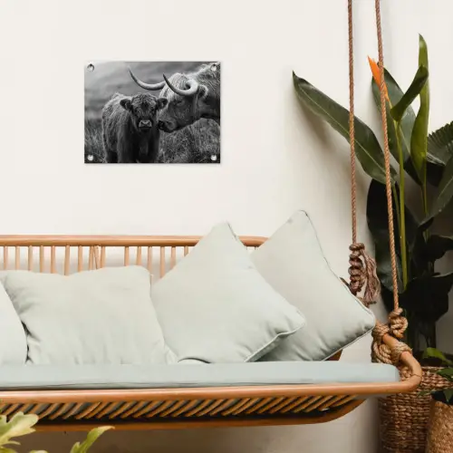 Schotse hooglander - Kalf - Zwart - Wit tuinposter los doek klein -sfeer7