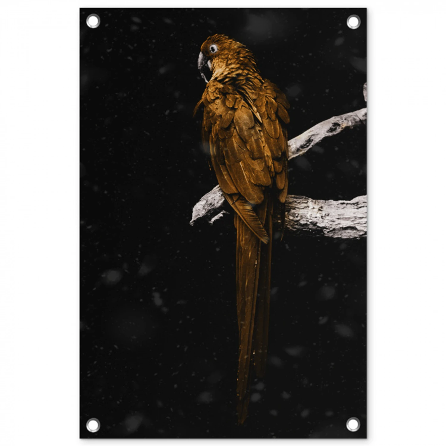 Papegaai - Vogel - Goud tuinposter los doek klein -3d