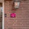Roze rozen - Sierlijk Naambord Rechthoek middel -sfeer7-rechthoek-S