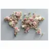 Wereldkaart - Rozen - Roze poster papier klein -3d