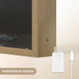 Leeuw - Kleuren - Zwart - Dieren Light Box met batterij (Wandlamp) middel -USP_websiteoplaadbaarDE