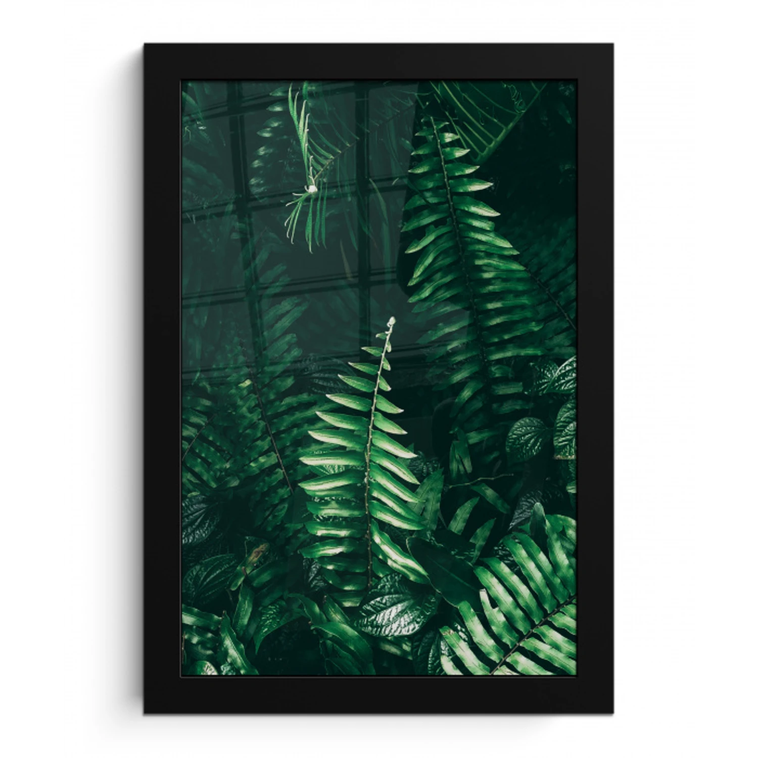 Bladeren - Jungle - Natuur - Tropisch - Planten fotolijst zwart zonder passe partout klein -3d