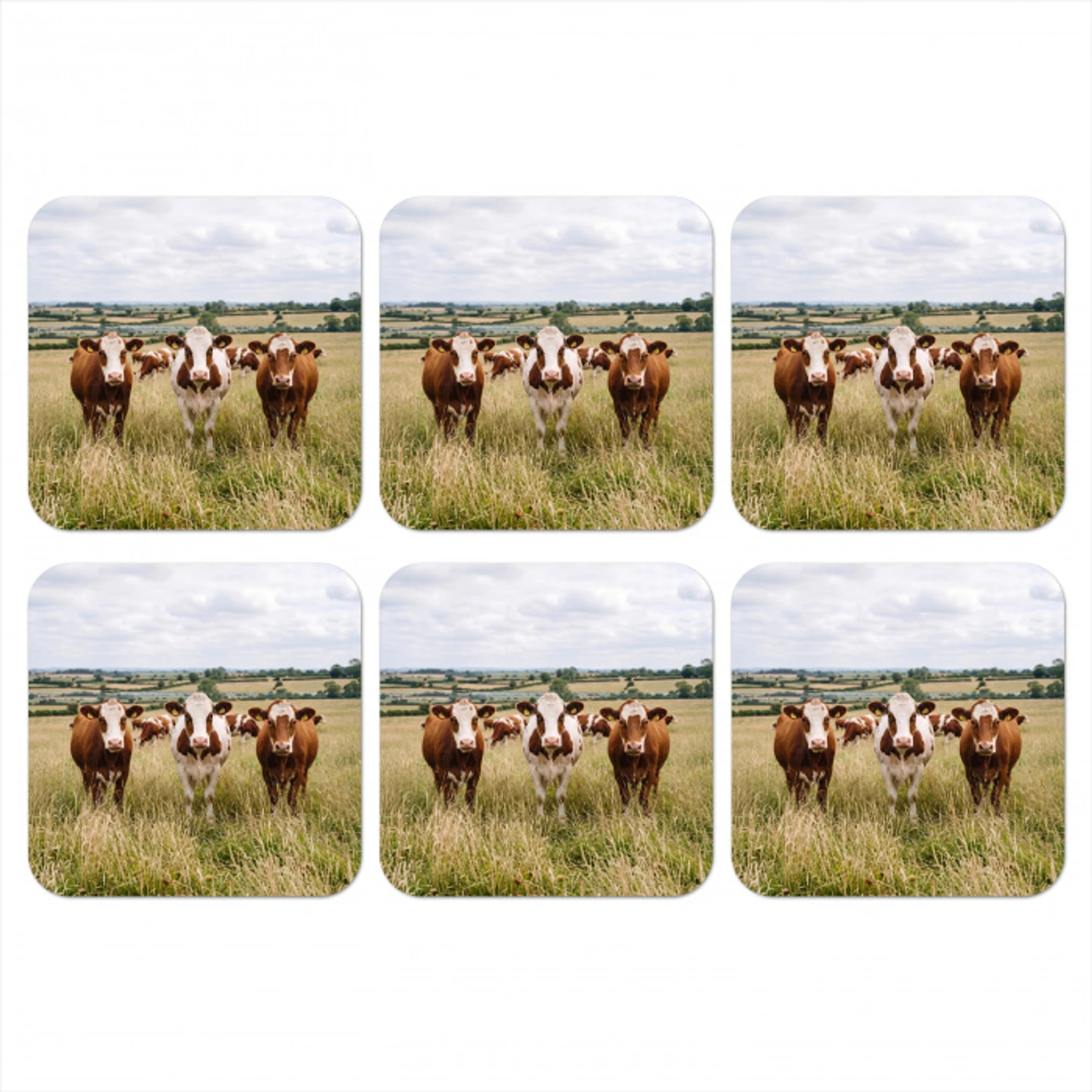 Koeien - Portret - Weide - Boerderij - Nieuwsgierig onderzetter kurk middel -3d