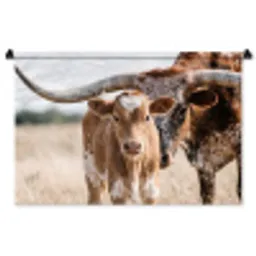 Texas Longhorn - Kalf - Weide - Dieren Wandkleed katoen middel -zz3d