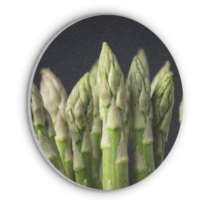 Asperges - Groen - Zwart Akoestische PET Vilt - Rond klein -3d