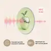 Groen - Disco - Decoratie - Appel Akoestische PET Vilt - Rond klein -USP_NL