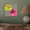 Planten - Anthurium - Groen - Roze aluminium wit klein -sfeer2