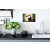 Toekan - Vogel - Bloemen - Planten Muursticker klein -keuken