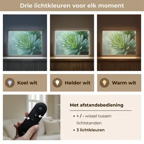 Blad - Plant - Groen - Textuur Light Box met batterij (Wandlamp) middel -USP_lichtkleurNL