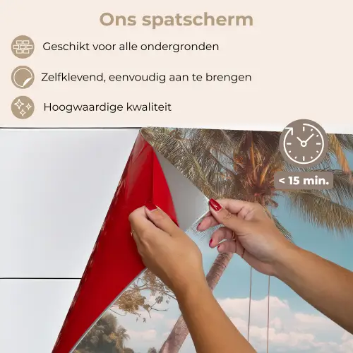 Palmboom - Schommel - Strand - Lucht keuken achterwand spatscherm klein -spatscherm_NL
