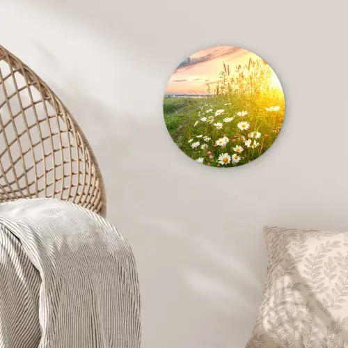 Bloemen - Madelief - Natuur - Zon - Horizon Wandcirkel kunststof plaat 5mm dik klein -sfeer5