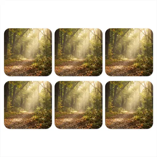 Zonlicht - Bospad - Bomen onderzetter kurk middel -3d