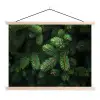 Sparrentakken - Knoppen - Naalden - Groen textielposter latten blank klein -3d