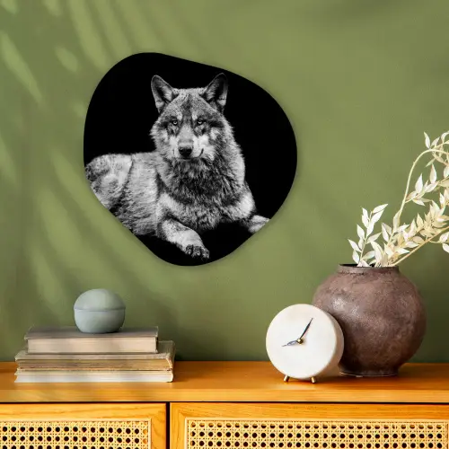 Wilde dieren - Wolf - Zwart - Wit Wandcirkel Organisch Forex 3mm klein -sfeer2