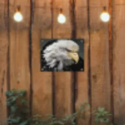 Dieren - Vogel - Adelaar tuinposter los doek klein -sfeer1