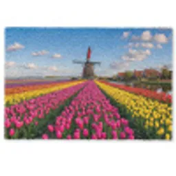 Tulpen - Holland - Molen - Kleurrijk Deurmat klein -zkaufland3d