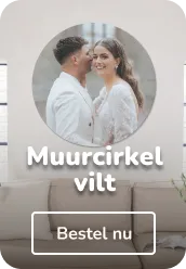 Muurcirkel vilt