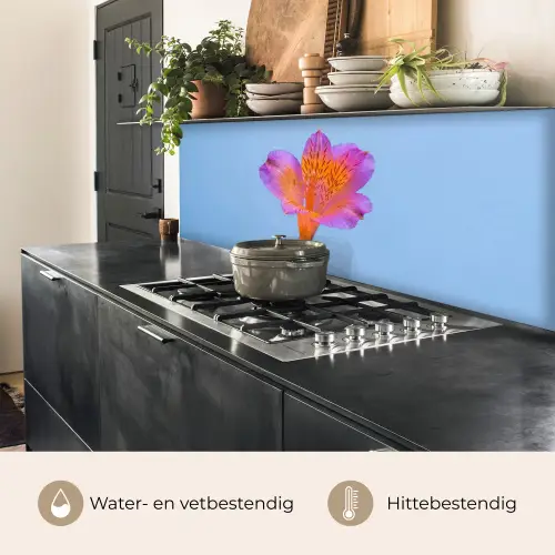Bloem - Detail - Kleurrijk keuken achterwand 2 middel -usp_NL