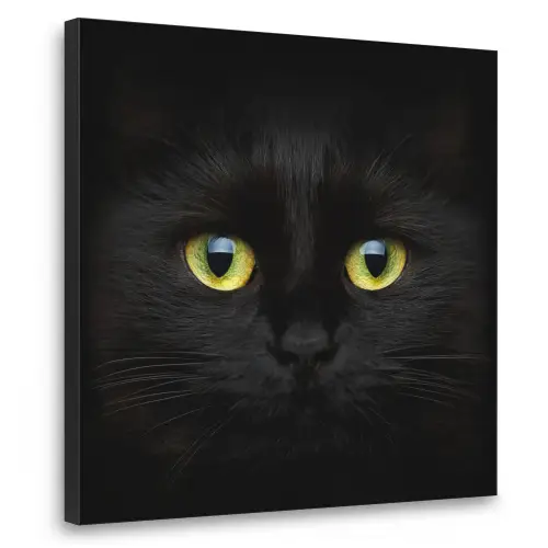 Kat - Zwart - Dieren - Natuur Textielframe zwart klein -3d
