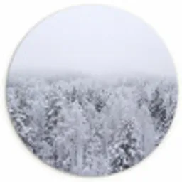 Bos - Sneeuw - Winter - Natuur - Wit Wandcirkel kunststof plaat 5mm dik klein -3d