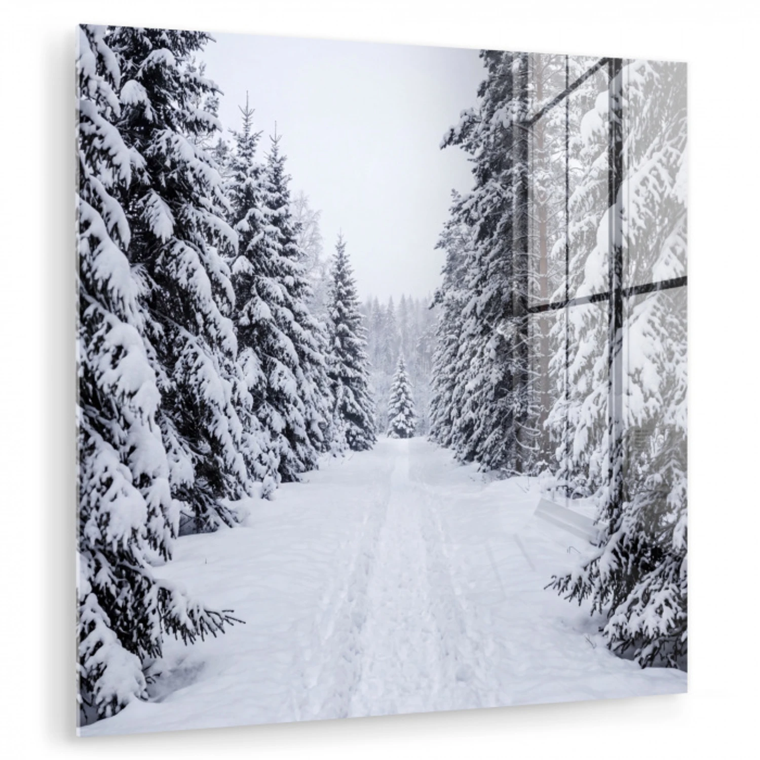 Bos - Winter - Sneeuw - Pad - Natuur plexiglas 5mm klein -zzzproduct_nieuw