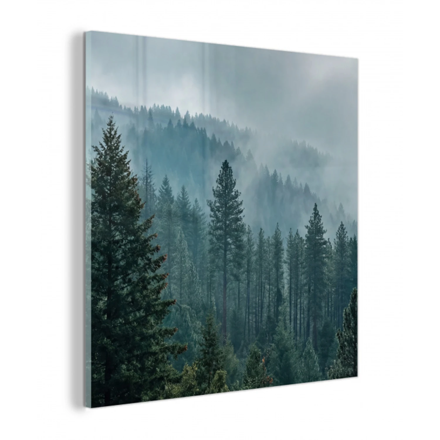 Naaldwoud - Bergen - Mist plexiglas 5mm klein -z3d