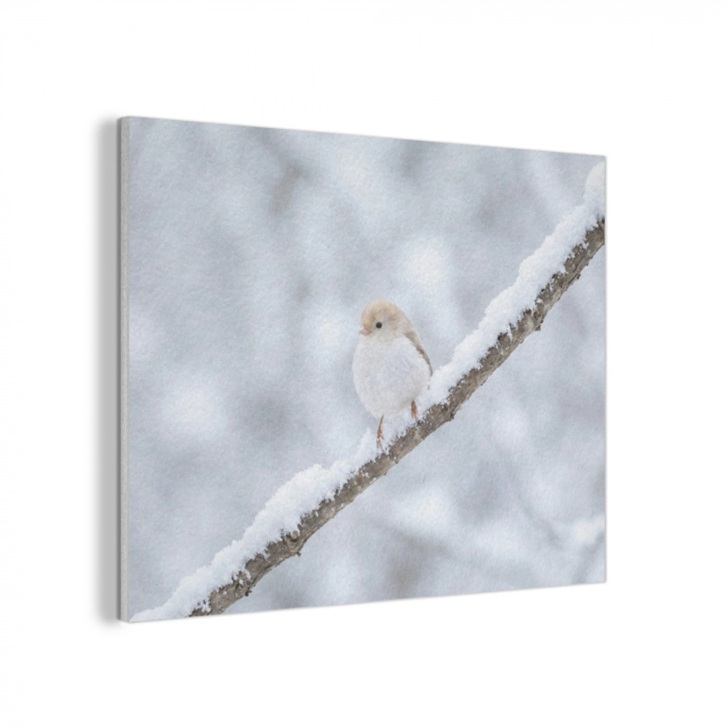 Vogeltje - Sneeuw - Tak - Winter - Zacht PET vilt klein -3d