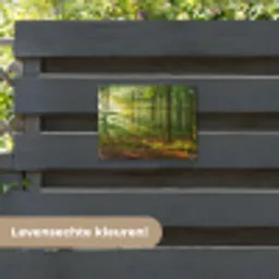 Ochtendlicht in het bos tuinposter los doek klein -sfeer3