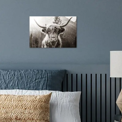 Schotse hooglander - Koe - Dieren - Zwart - Wit poster papier klein -sfeer2
