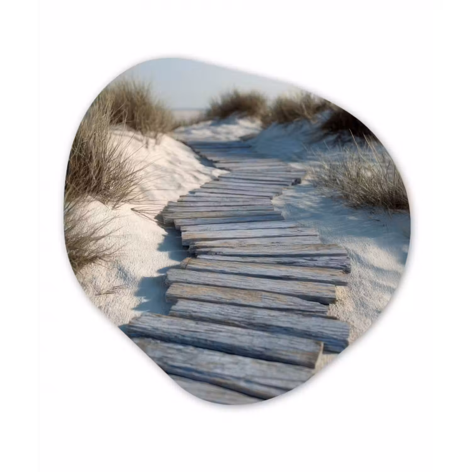 Glasbild Organische Form - Pfad - Regale - Dünen - Gras