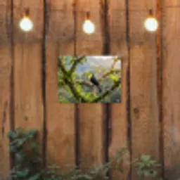 Toekan - Jungle - Natuur - Kleurrijk tuinposter los doek klein -sfeer1
