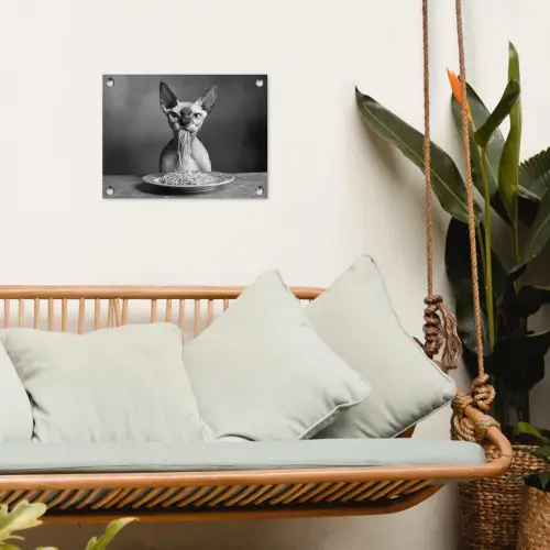Sphynx - Kat - Dieren - Humor - Spaghetti - Zwart Wit tuinposter los doek klein -sfeer7