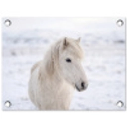 Paard - Kop - Winter - Dieren - Wit tuinposter los doek klein -3d