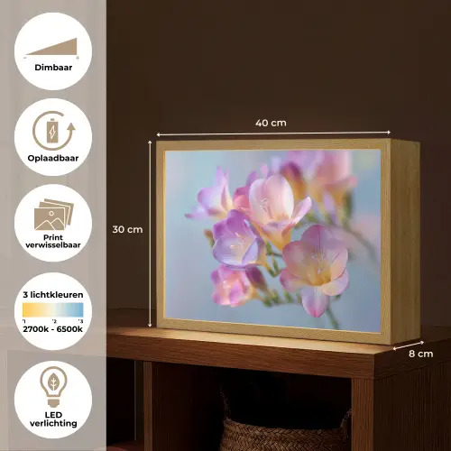 Bloemen - Paars - Overloop - Meeldraden Light Box met batterij (Wandlamp) middel -USP_websiteoverzichtNL