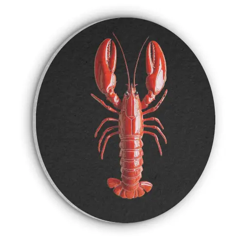 Kreeft - Glossier Rood - Zwart Akoestische PET Vilt - Rond klein -3d