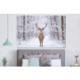 Hert - Winter - Bos - Natuur - Wit forex 5mm xxl -slaapkamer