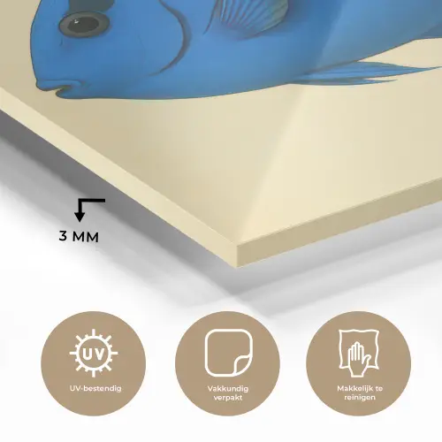 Blauw - Dory - Vis - Staartvin plexiglas 5mm klein -sfeer2