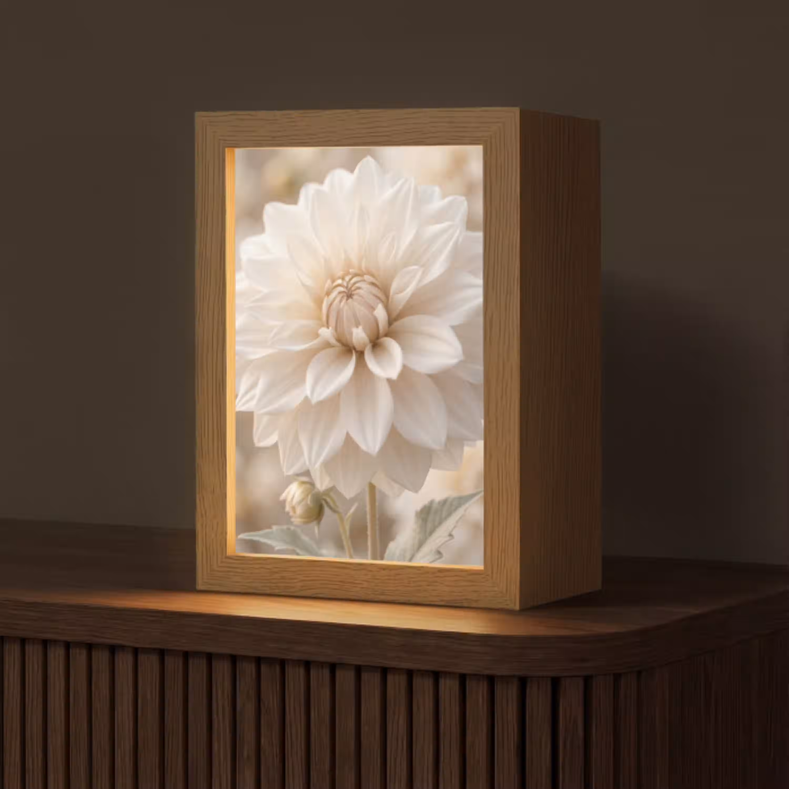 Bloem - Dahlia - Wit Light Box met kabel (Tafellamp) klein -z3d_website