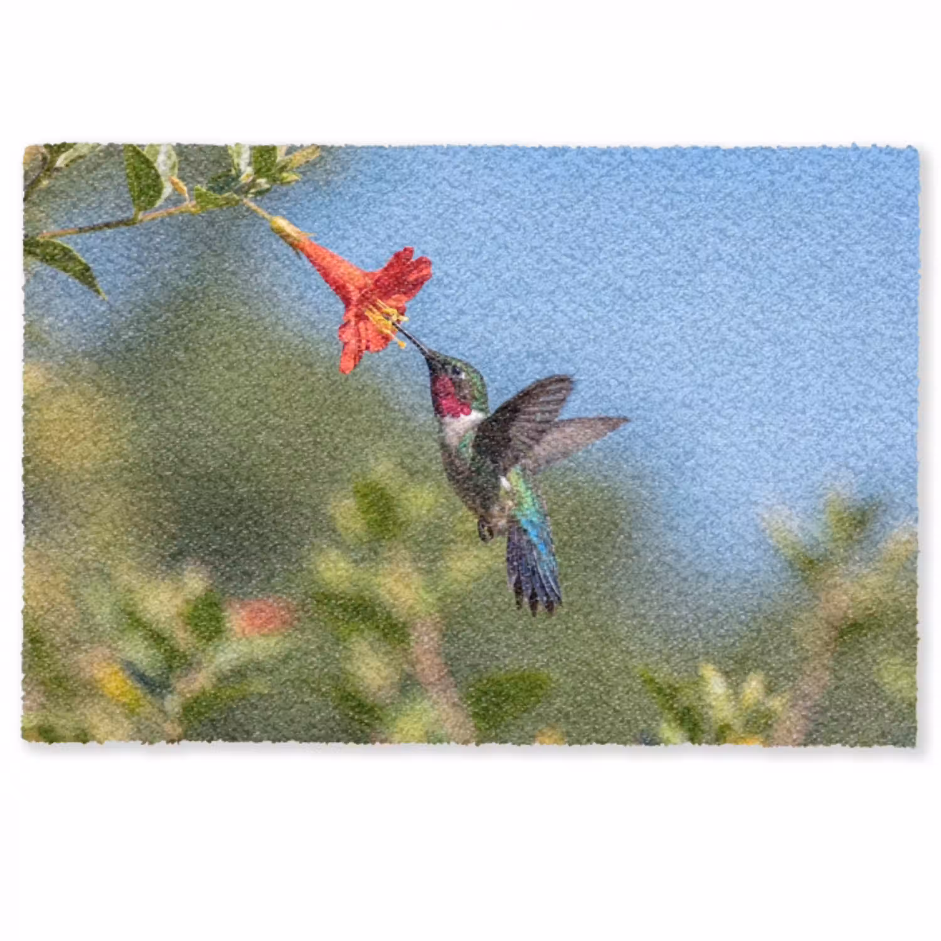 Kolibrie - Bloem - Natuur - Groen Deurmat klein -zkaufland3d