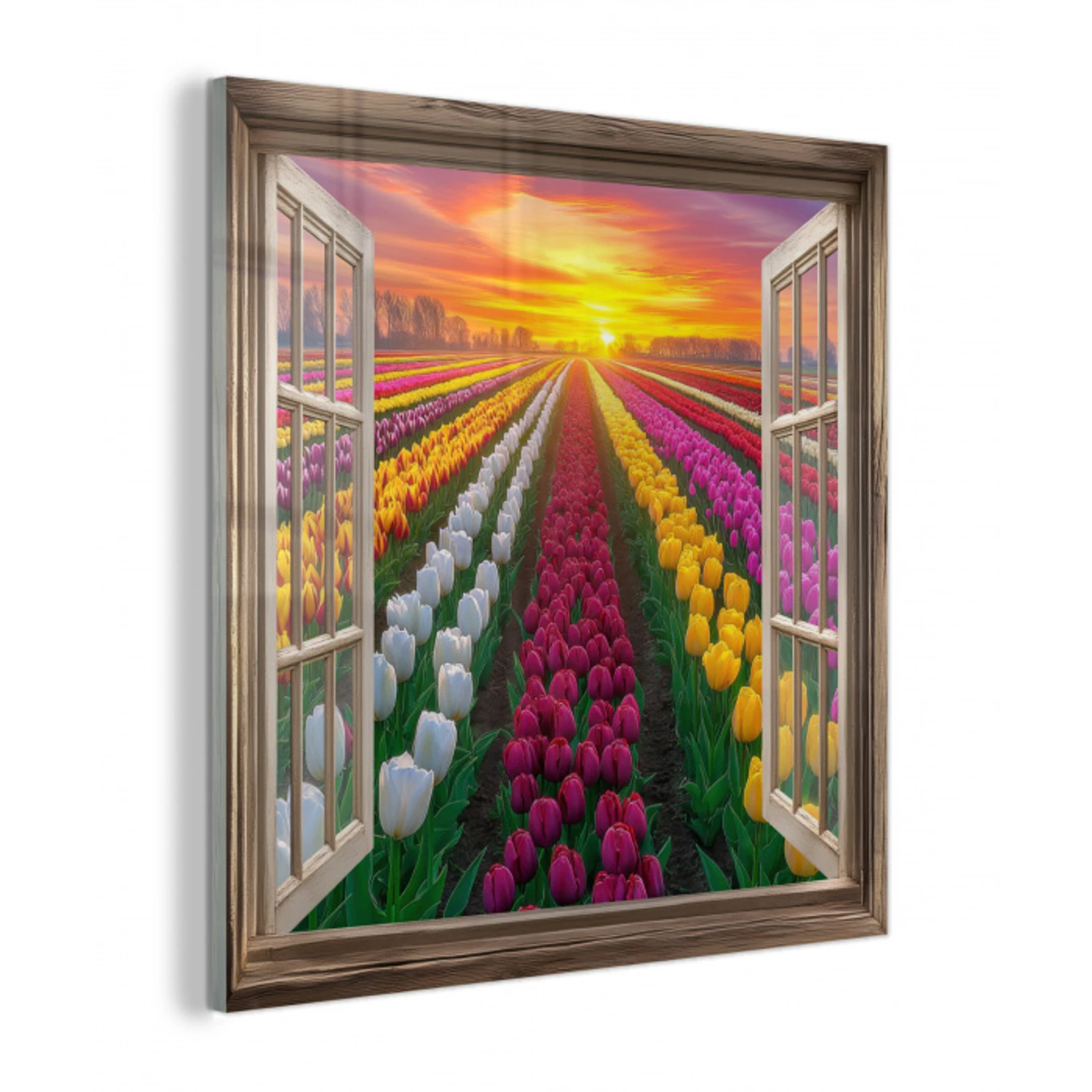 Doorkijk - Bloemen - Tulpen - Kleurrijk - Zonsondergang plexiglas 5mm klein -z3d