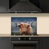Schotse Hooglander - Koeienkop - Landschap - Natuur - Koe keuken achterwand spatscherm klein -sfeer1